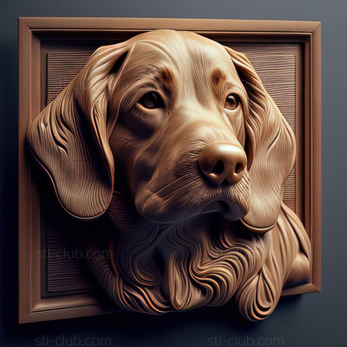 3D model st Langhaar dog (STL)